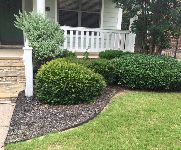Landscaper
