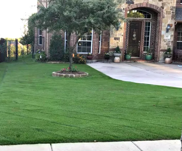 Landscape Maintenance