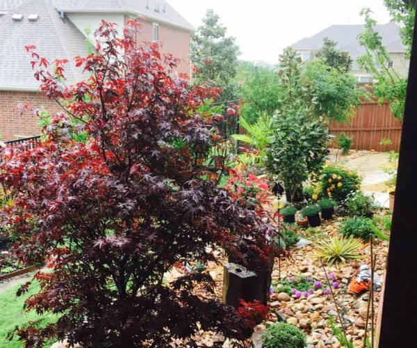 Landscaping Services