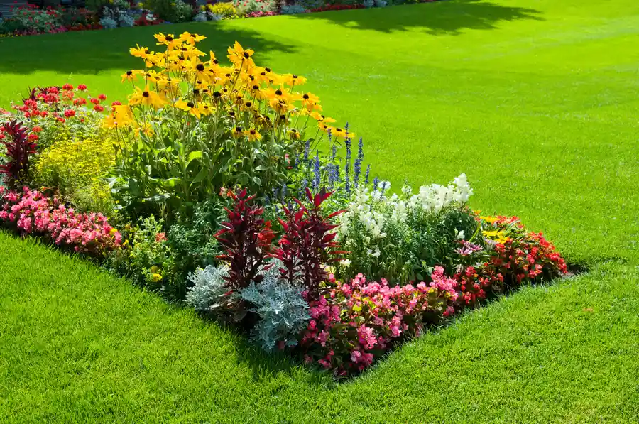 Benefits Of Layering Plant Heights In Landscape Design Southlake, TX