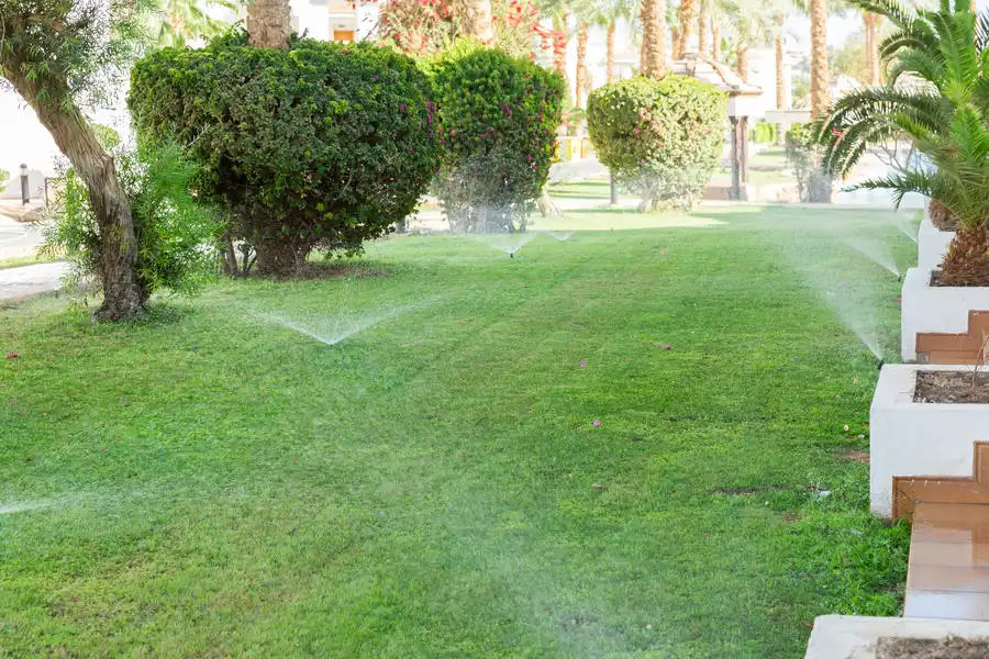 How Timely Sprinkler Repair Prevents Water Waste Southlake, TX
