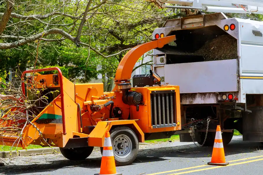 The Role Of Tree Removal In Preparing Land For New Plantings Southlake, TX
